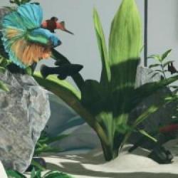 Aquarium Designer zadebiutował, Boomerang X z aktualizacją, Hearts of Iron 4 z dodatkiem, Mystery Gamers Pack V6 w sprzedaży - Krótkie Info