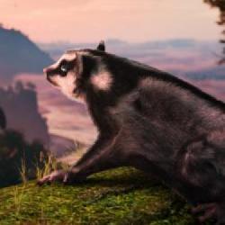 AWAY: The Survival Series, gra inspirowana naturą zadebiutuje także na PS5