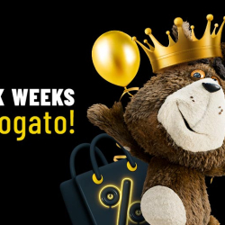 Black Weeks w Plushu – dowiedz się, co Misiek przygotował w tym roku!