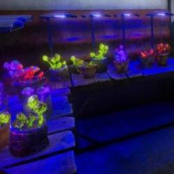 Cooking Simulator Shelter ukaże się już za kilkanaście dni!