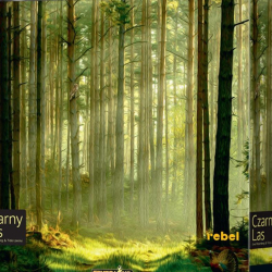 Czarny Las – strategiczna podróż w świat średniowiecznych hut szkła