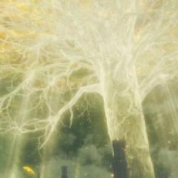 Luke Ross przygotowuje mod VR do Elden Ring! Jak prezentuje się przerobiona gra From Software?