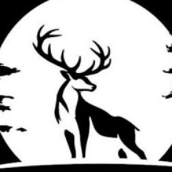 Electro Ride i Dorian Morris Adventure to dwie produkcje Forestlight Games, które zgarniemy taniej na Zimowej Wyprzedaży na Steam!