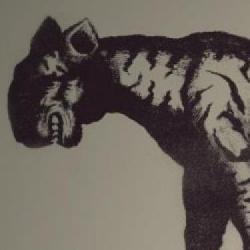 Twórcy The Last Guardian, studio genDESIGN ujawni nową grę w 2022 roku!