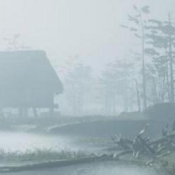 Ghost of Ikishima ma być samodzielnym dodatkiem do Ghost of Tsushima!