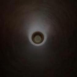 IO Interactive stawia na autorską opowieść w Project 007!