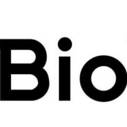 Kilka nowych wiadomości o Dragon Age 4 od BioWare. Co ujawnili producenci?