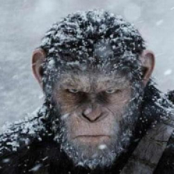 Kingdom of the Planet of the Apes, nowa Planeta małp. Prace na planie ruszają już w tym miesiącu