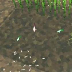 Konsolowe Megaquarium doczeka się niebawem wprowadzenia DLC: Freshwater Frenzy