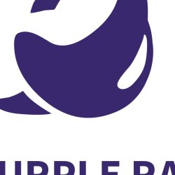 Koshmar: The Last Reverie – polskie studio Purple Ray zapowiada nową grę