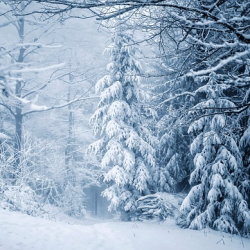 Na jakie produkcje warto czekać zimą 2023 roku? Kilka gier może szybko wywalczyć sobie szansę na tytuł Gry Roku!