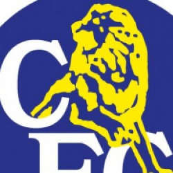 Poradnik jak sfinalizować SBC o Marcel Desailly Historie Ikon w FUT 22?