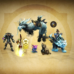 Przygotujcie się na powrót do Pandarii – dostępne są zestawy z ulepszeniami do MoP Classic!