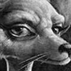 Raw Fury z grudniowymi ogłoszeniami, zapowiedzią The Longest Roath on Earth, premierą Per Aspera i bardzo dobrze ocenianym Call of the Sea