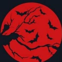 Renfield, są pierwsze zdjęcia z planu z nadchodzącego na przyszły rok komediowego horroru