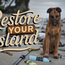 Restore Your Island – symulacja życia z czyszczeniem tropikalnej wyspy