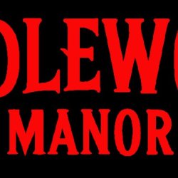 Riddlewood Manor – horror z humorem inspirowany kreskówkami lat 90.
