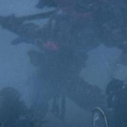 Pokaz rozgrywki z Total War Warhammer III odbędzie się za tydzień! - Data nadchodzącej prezentacji