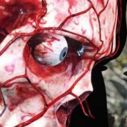 Sniper Elite 5 z datą premiery, Sneakers Custom Simulator na Kickstarterze, Curious Expedition 2 na konsolach - Krótkie Info