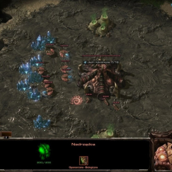 StarCraft II na IEM Katowice 2023 doczeka się okrągłego jubileuszu!