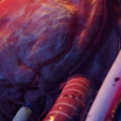 The Dark Pictures Anthology - The Devil in Me z datą premiery! Kiedy będziemy się mogli zapoznać z kolejnym rozdział horrorowej historii?