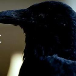 The Past Within, kooperacyjna przygodówka od Rusty Lake na nowym filmowym zwiastunie