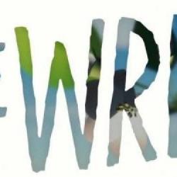 The Wreck, dojrzała przygodowa opowieść w stylu wizualnej powieści z kartą na Steam