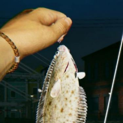 Ultimate Fishing Simulator 2 już za 2 dni trafi do Wczesnego Dostępu! Tytuł Ultimate Games i MasterCode melduje się na komputerach