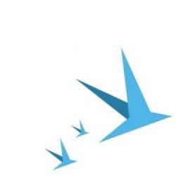 United Label i Odd Bug Studio zamierzają dalej współpracować!