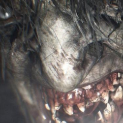W sieci pojawił się spory wyciek z Resident Evil Evil 9! Plotki zapowiadają kolejne zaskoczenia przygotowywane przez Capcom...