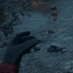 Drago zapowiedziało, że Winter Survival Simulator ma datę premiery! Kiedy sprawdzimy nadchodzący symulator?