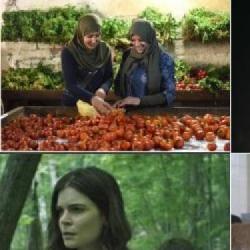 Zapowiedzi programowe SundanceTV na marzec 2021. Cykl W kobietach siła, środy z serią Noce z muzyką i filmowe premiery